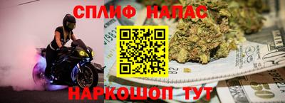 jwh Ставрополь